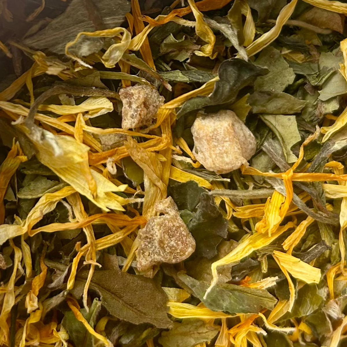 Thé DIENG - Figue & aloé vera